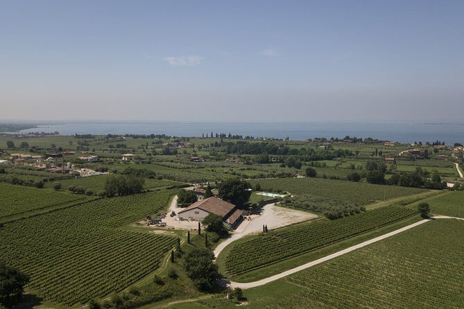 Visit and wine tasting at Tenuta La Cà - Exploring Wine at Tenuta La Cà: A Detailed Review