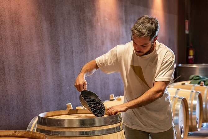 Visit and wine tasting at Tenuta La Cà - Final Thoughts