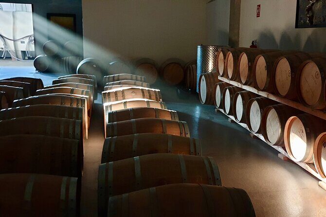Visit and Wine Tasting at the Territorio Luthier Winery - An In-Depth Look at the Territorio Luthier Experience