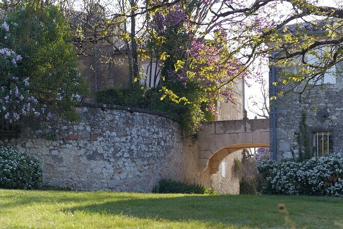 Visit and wine tasting: The Musketeers' wine - Key Points