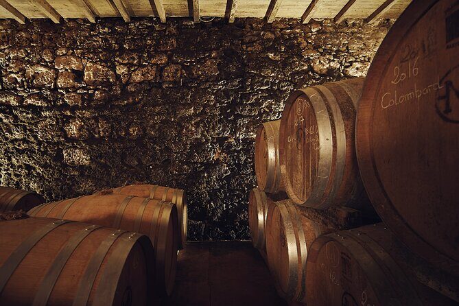 Visit and wine tasting: The Musketeers' wine - The Sum Up