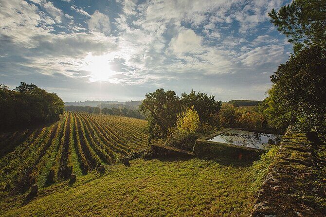 Visit and wine tasting: The Musketeers' wine - FAQ