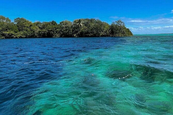 Visit Bacalar full day with boat from Merida - Who Should Consider This Tour?
