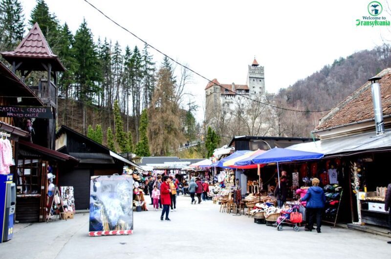 Visit Bear Sanctuary and Bran Castle from Brasov - A Closer Look at the Tour