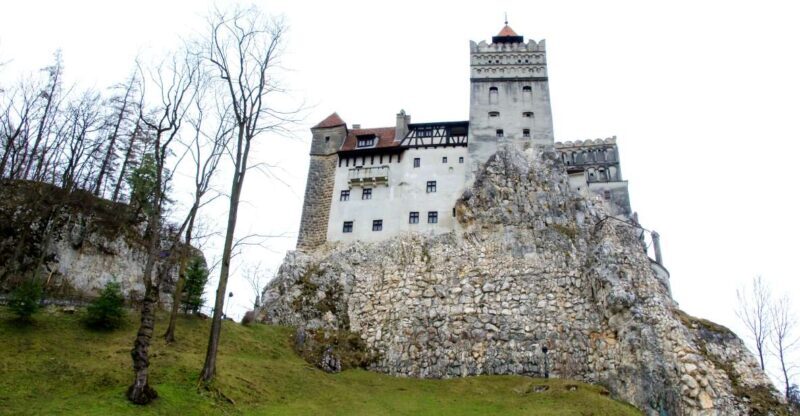 Visit Bear Sanctuary and Bran Castle from Brasov - Why This Tour Works