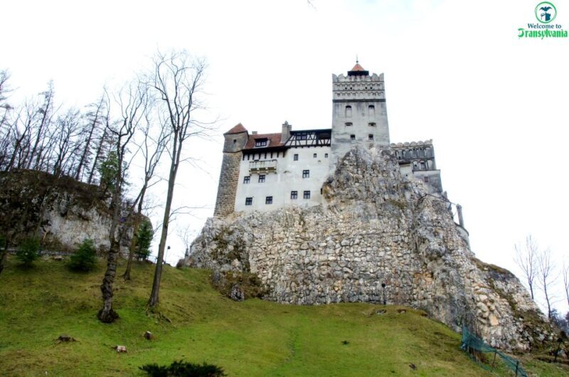 Visit Bear Sanctuary and Bran Castle from Brasov - FAQ