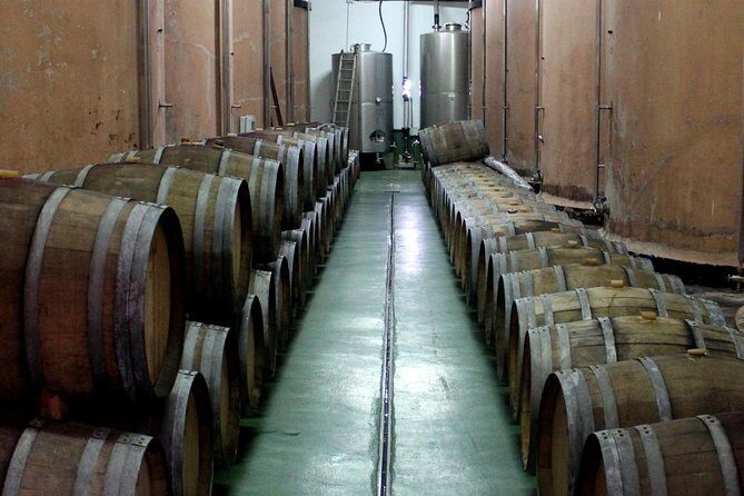 Visit Bodegas Teneguía winery in La Palma with wine Tasting - Final Thoughts: Why This Tour Is Worth Your Time