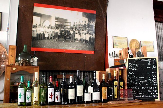 Visit Bodegas Teneguía winery in La Palma with wine Tasting - FAQs