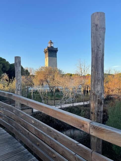 Visit Camargue and Espiguette Lighthouse from Montpellier - Who Will Love This Tour?
