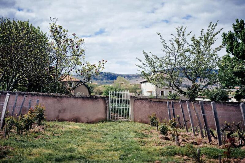 Visit : Château du Moulin-à-Vent, where time is an ally - Introducing the Château du Moulin-à-Vent Experience