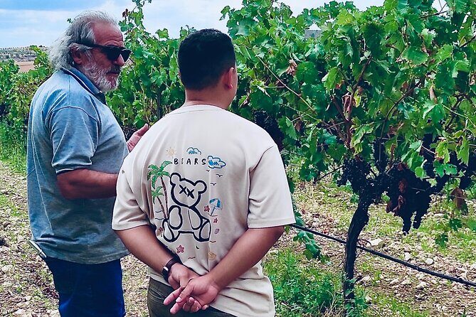 Visit Cuenca and a Vineyard in Spanish Tuscany from Madrid - Meeting Point and Transport: Starting in Madrid