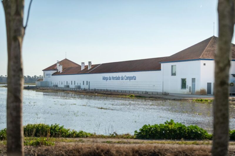 Visit Herdade da Comporta Winery - Key Points