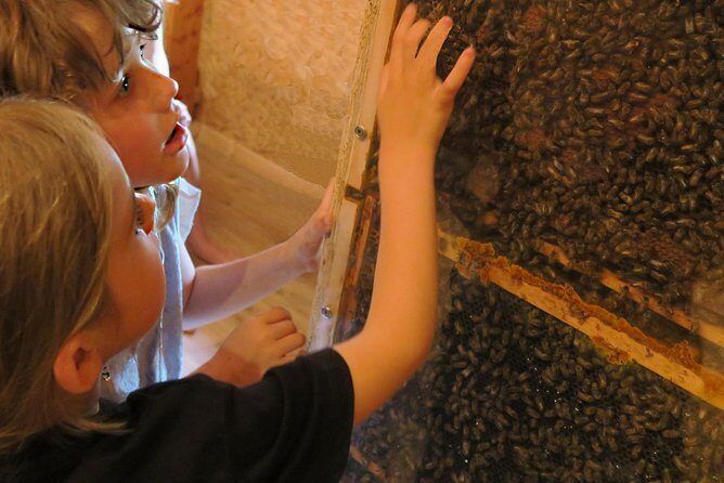 Visit - immersion in the heart of the bee world! - Final Words: Is It Worth It?