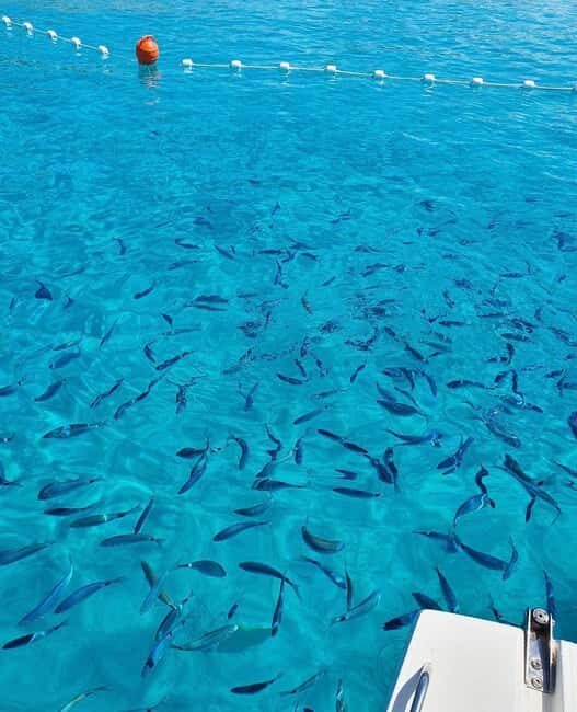 Visit Island of Dugi Otok with Golubinka Cave or NP Kornati - Key Points