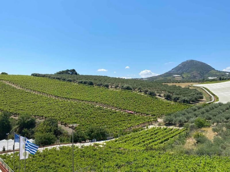 Visit Knossos and the Valley of Zeus - An Overview of What to Expect