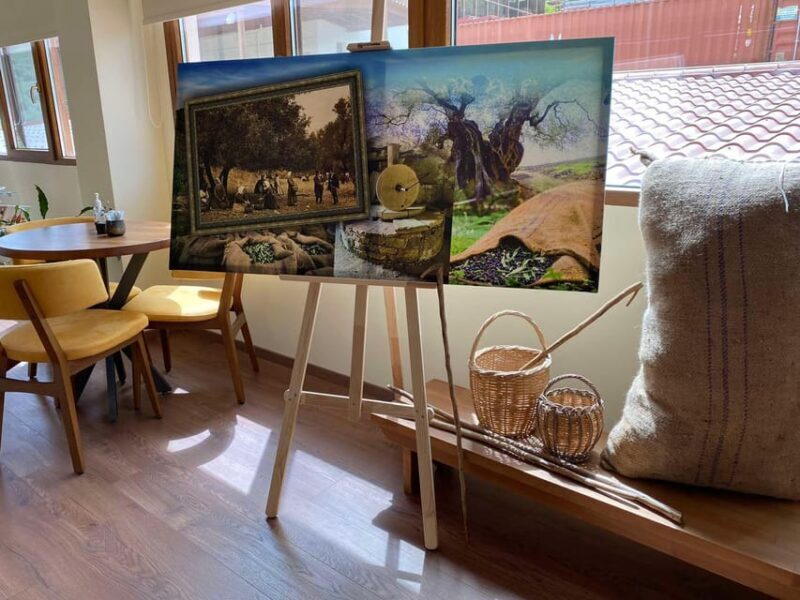 Visit Knossos and the Valley of Zeus - What’s Included and Why It Matters