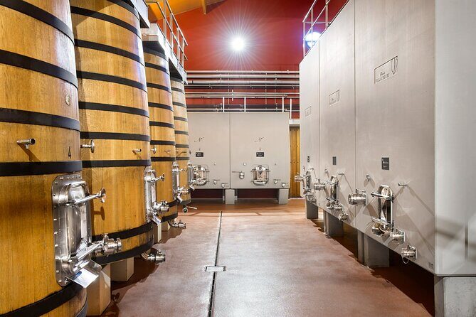 Visit La Joya Escondida de la Ribera del Duero Winery - Who Will Love This Experience?