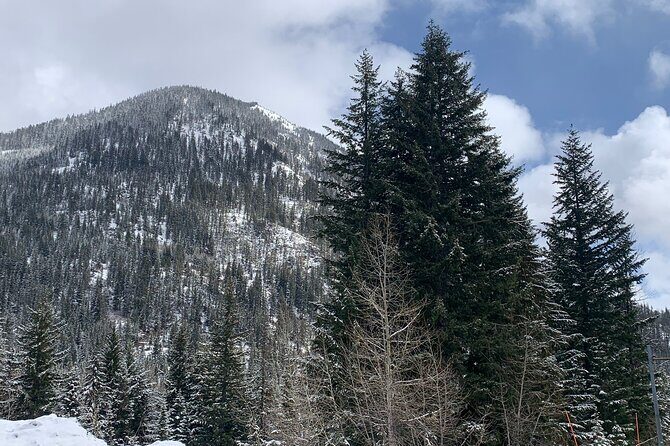 Visit Leavenworth on a guided Cascades and Snoqualmie Falls Tour - The Sum Up