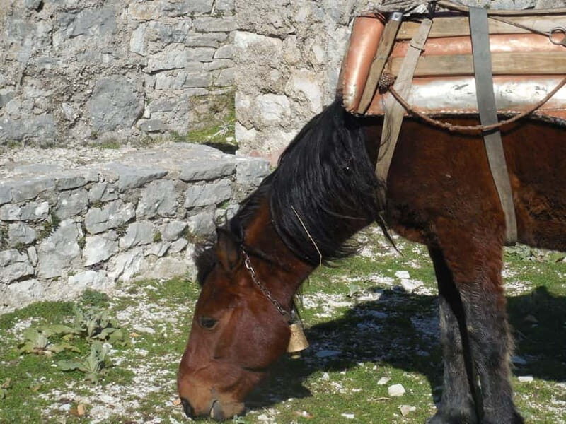 Visit Monastery of Mesopotam & Archaeological Park of Finiq - An Introduction to Albania’s Ancient Treasures