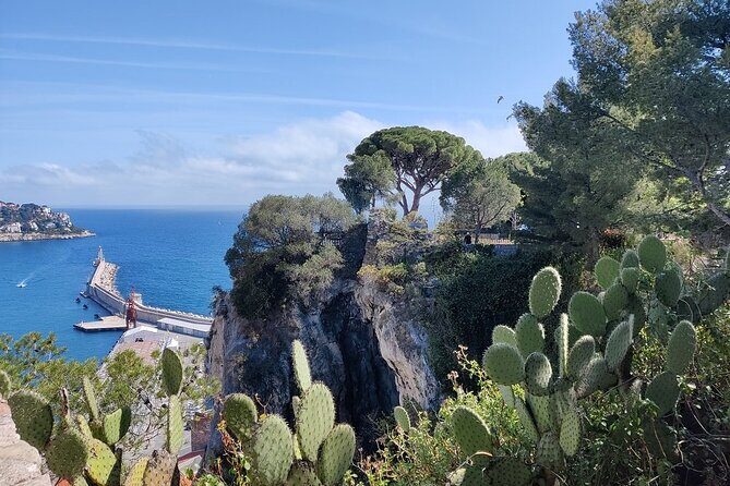 Visit Nice in 2h with Local Certified Guide - Who Is This Tour Best Suited For?