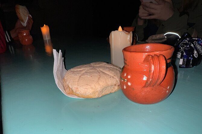 Visit of Fireflies Forest in private transport from mexico city - The Sum Up