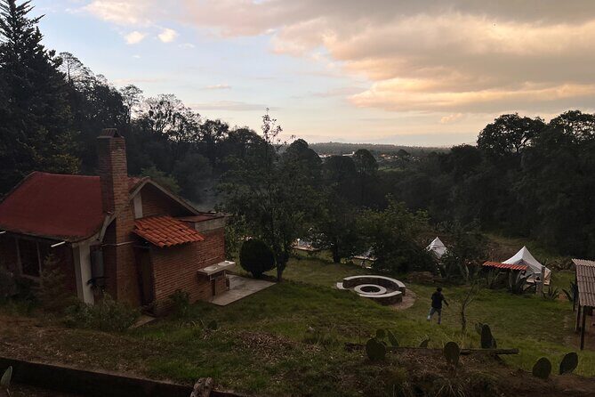 Visit of Fireflies Forest in private transport from mexico city - FAQ