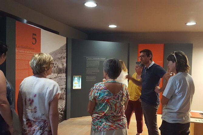 Visit of the Artemisia museum - A Closer Look at the Experience