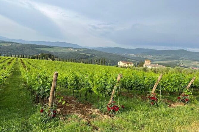 Visit Of The Chianti Classico And The Tuscan Countryside - The Journey Begins: What to Expect from the Tour