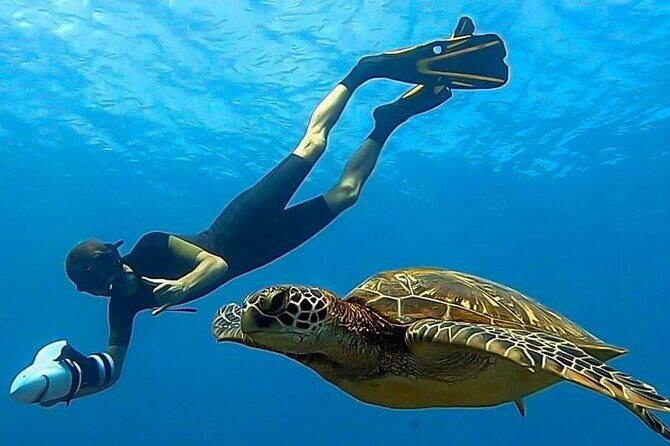 Visit of the Tahiti and her Islands Museum with a local guide. - Who Should Consider This Tour?