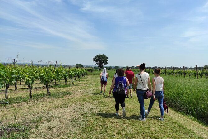Visit of the Winemaker with Tasting of Typical Products in Faenza - FAQ