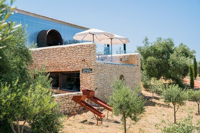 Visit Oil Mill Museum and Olive Oil Tasting in Ronda - An In-Depth Look at the Experience