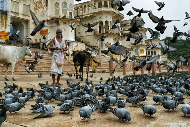 Visit Pushkar with Jaipur Drop from Bikaner Included Local Guide - Key Points