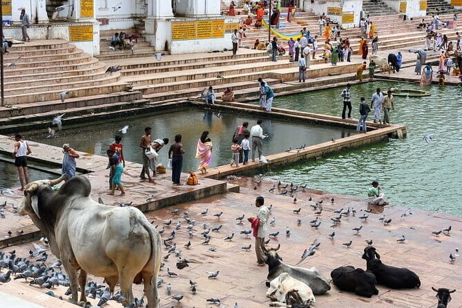 Visit Pushkar with Jaipur Drop from Bikaner Included Local Guide - A Deeper Look at the Itinerary