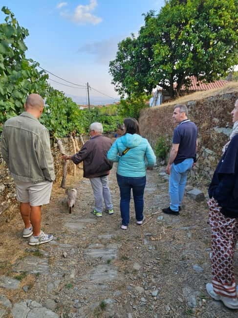 Visit Quinta de Sobre a Fonte with wine tasting and transportation - Key Points