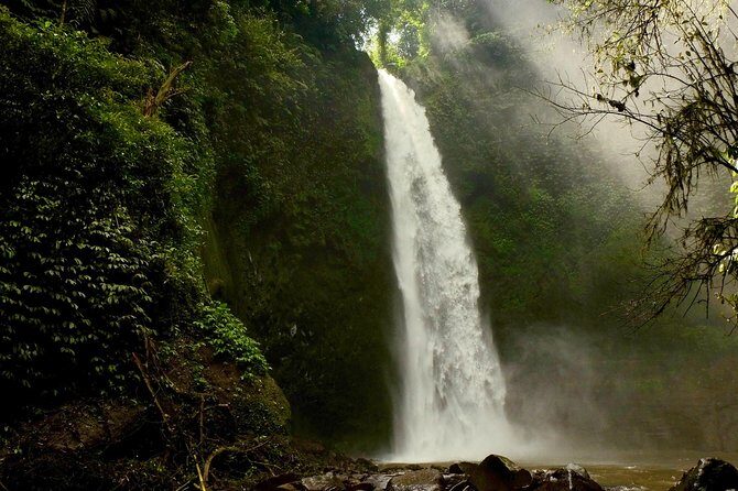 Visit Rice terrace, Beratan temple, waterfall by Vantage Volkswagen 181 - Who Should Consider This Tour?