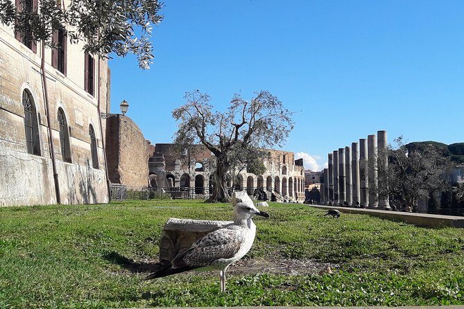 Visit Rome Highlights in 1 Day: VIP Coliseum and Vatican Tour, lunch & transfers - Final Thoughts: Is This Tour Worth It?