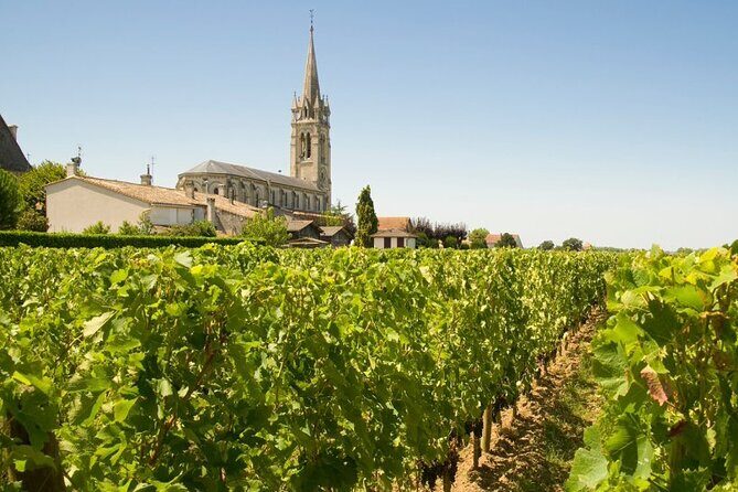 Visit Saint-Emilion and Pomerol:Vineyards, lunch and tastings included - Potential Drawbacks and Considerations