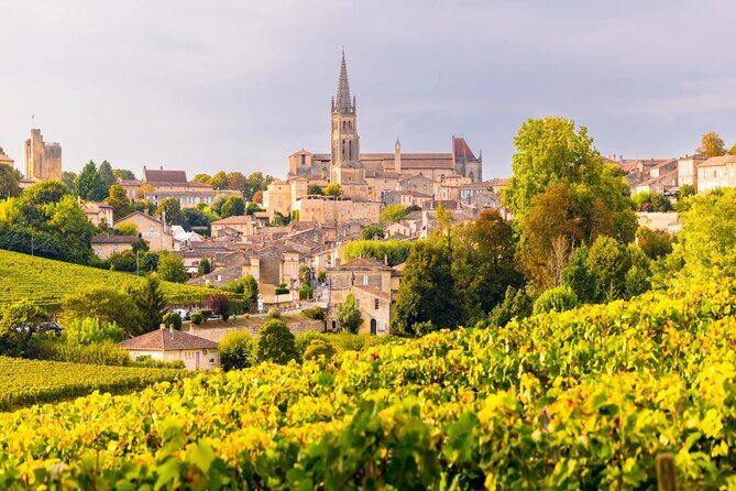 Visit Saint-Emilion and Pomerol:Vineyards, lunch and tastings included - Final Thoughts