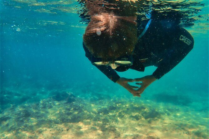 Visit Secret Caves, Hidden Beaches and Snorkel in Alvor, Portugal - The Secluded Beach Picnic