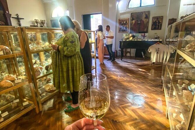 Visit Shell Museum Cavtat - Authentic Insights from Visitors