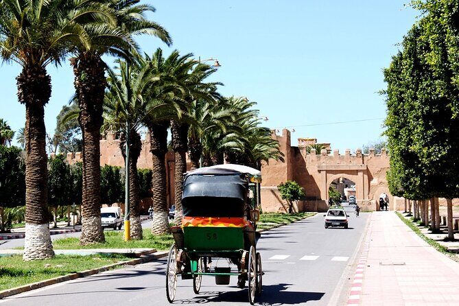 Visit Taroudant and Tiout 1 day From Agadir - The Sum Up