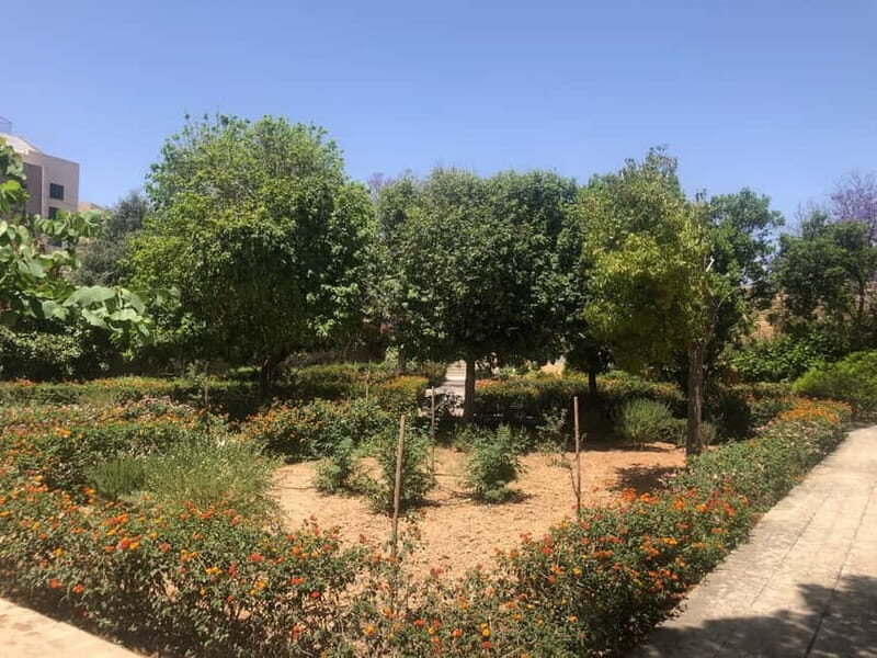 Visit Tarxien Temples, Kalanka Bay, Blue Grotto, Marsaxlokk - A Deep Dive Into the Tour Experience