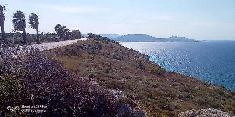 Visit the 10 best places in Rhodes with free Wine Tasting - An In-Depth Look at the Itinerary and What to Expect