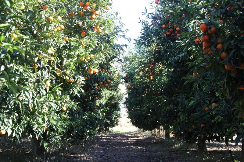 Visit the city of Konispol - Who Will Appreciate This Tour?