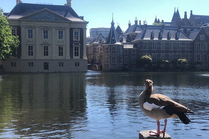 Visit the Girl with the Pearl Earring, The Hague & Delft City - Who Would Love This Tour?