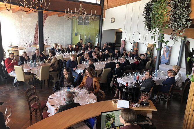 Visit the Marchesi de Cordano winery and taste its wines - What to Expect from the Tour