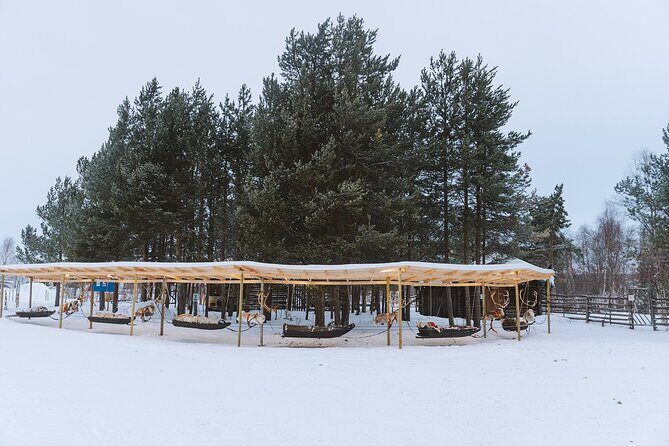 Visit the Sami and Reindeer in a Day Trip from Abisko - Final Thoughts: Who Will Love This Experience?