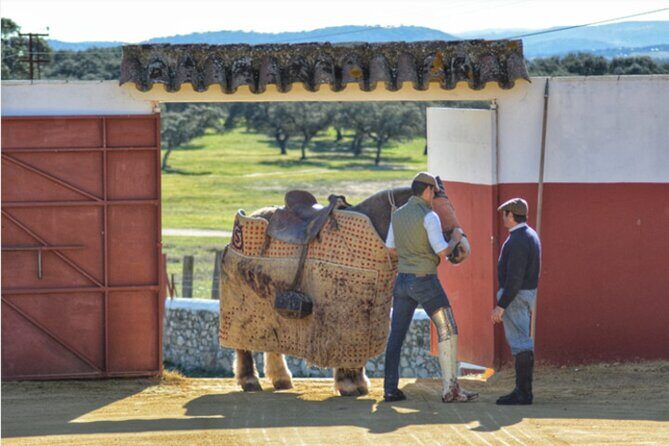 Visit to a brave bull farm in Andalusia - The Sum Up