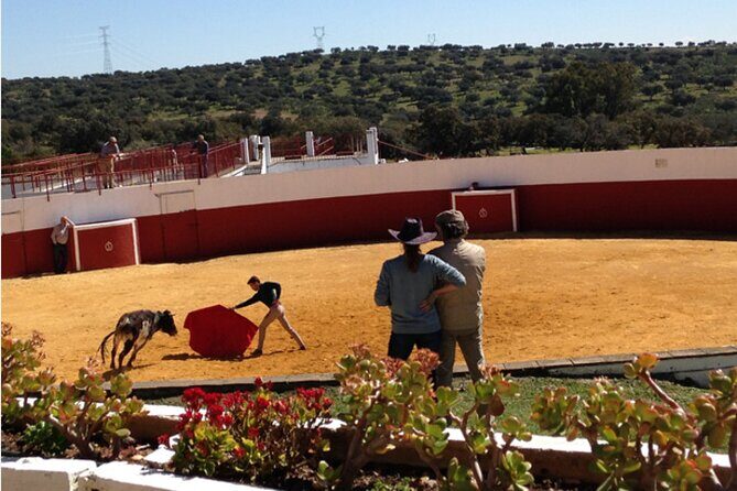 Visit to a brave bull farm in Andalusia - FAQ