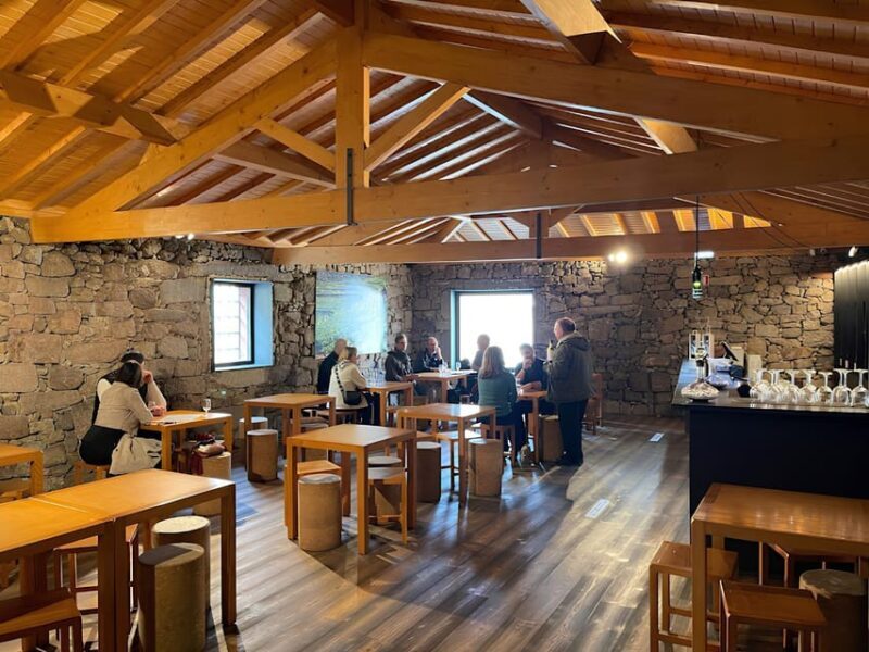 Visit to a Port Wine Cellar - Exploring a Port Wine Cellar in Portugal: An Authentic and Educational Experience